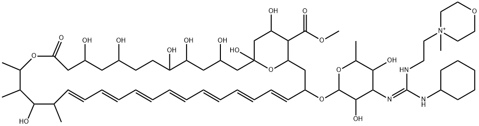 N-(N'-(2-(4'-methylmorpholinio)ethyl)-N''-cyclohexylguanyl)amphotericin B methyl ester Struktur