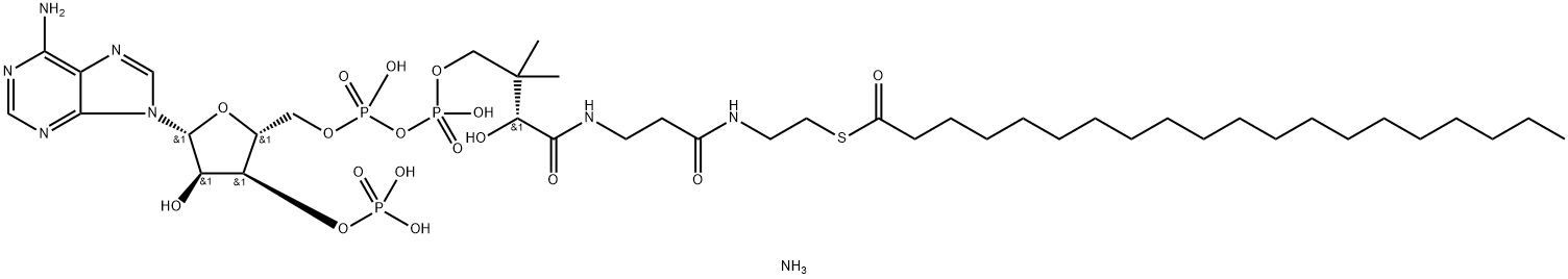 arachidoyl CoenzyMe A (aMMoniuM salt) Struktur