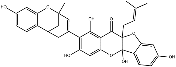 SANGGENONB Struktur