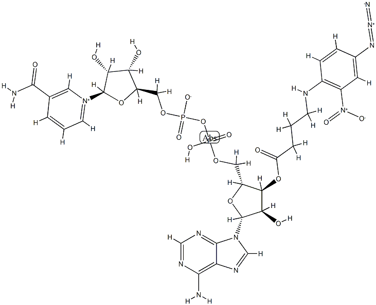 N-4-azido-2-nitrophenyl-4-aminobutyryl-NAD Struktur