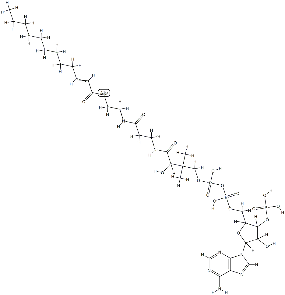 dodecenoyl+2-dodecenoyl Struktur