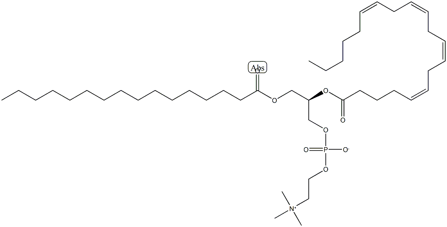 1-PalMitoyl-2-arachidoyllecithin Struktur