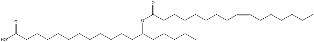 13-POHSA Struktur