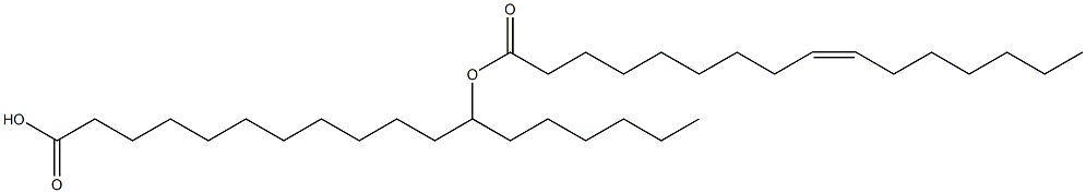 12-POHSA Struktur