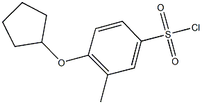 4-(cyclopentyloxy)-3-methylbenzenesulfonyl chloride Struktur