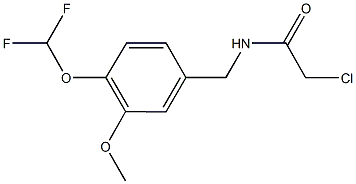 2-CHLORO-N-[4-(DIFLUOROMETHOXY)-3-METHOXYBENZYL]ACETAMIDE Struktur