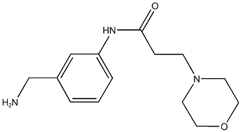 N-[3-(aminomethyl)phenyl]-3-morpholin-4-ylpropanamide Struktur