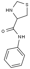 N-phenyl-1,3-thiazolidine-4-carboxamide Struktur