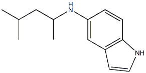 N-(4-methylpentan-2-yl)-1H-indol-5-amine Struktur