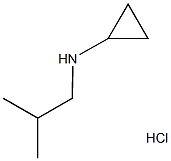 N-cyclopropyl-N-isobutylamine hydrochloride Struktur