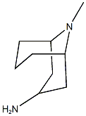 9Methyl-9-Azabicyclo[3,3,1]Nonan]3Amine Struktur