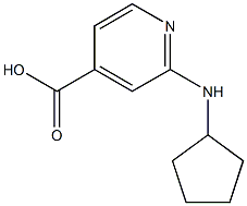 2-(cyclopentylamino)pyridine-4-carboxylic acid Struktur