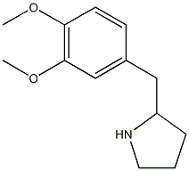 2-[(3,4-dimethoxyphenyl)methyl]pyrrolidine Struktur