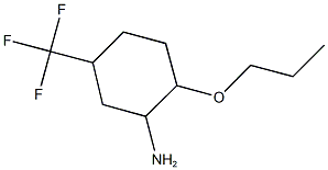 2-PROPOXY-5-(TRIFLUOROMETHYL)CYCLOHEXANAMINE Struktur