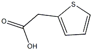 2-(thiophen-2-yl)acetic acid Struktur