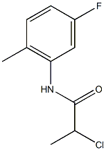 2-chloro-N-(5-fluoro-2-methylphenyl)propanamide Struktur