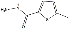 5-methylthiophene-2-carbohydrazide Struktur