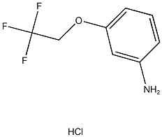 3-(2,2,2-TRIFLUOROETHOXY)ANILINE HYDROCHLORIDE Struktur