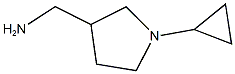 (1-cyclopropylpyrrolidin-3-yl)methylamine Struktur