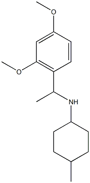 N-[1-(2,4-dimethoxyphenyl)ethyl]-4-methylcyclohexan-1-amine Struktur