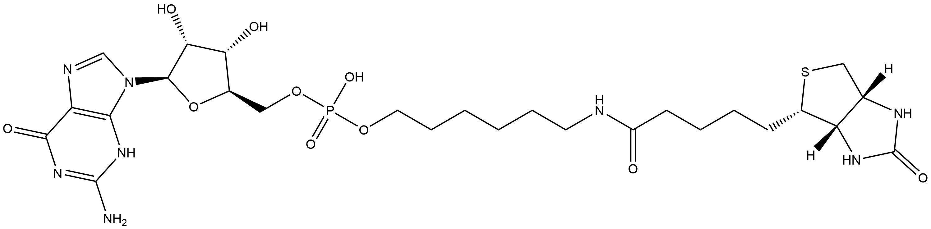 5'-Biotin-G-Monophosphate Struktur