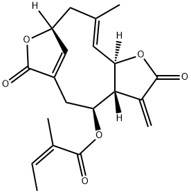 Isoscabertopin