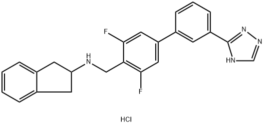 1007578-24-6 結(jié)構(gòu)式