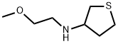 N-(2-methoxyethyl)thiolan-3-amine Struktur