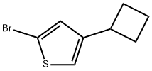 2-Bromo-4-(cyclobutyl)thiophene Struktur