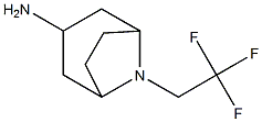 8-(2,2,2-trifluoroethyl)-8-azabicyclo[3.2.1]octan-3-amine Struktur