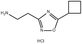 [2-(5-Cyclobutyl-1,2,4-oxadiazol-3-yl)ethyl]amine hydrochloride Struktur