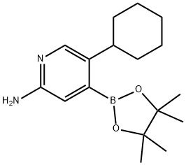 2-Amino-5-cyclohexylpyridine-4-boronic acid pinacol ester Struktur