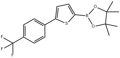 5-(4-Trifluoromethylphenyl)thiophene-2-boronic acid pinacol ester Struktur