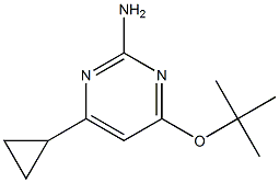 2-Amino-4-(tert-butoxy)-6-cyclopropylpyrimidine Struktur