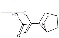 exo-2-[(tert-butoxy)carbonyl]-2-azabicyclo[2.2.1]heptane-6-carboxylic acid Struktur