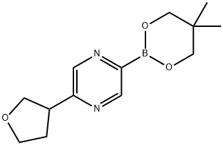 5-(Oxolan-3-yl)pyrazine-2-boronic acid neopentylglycol ester Struktur