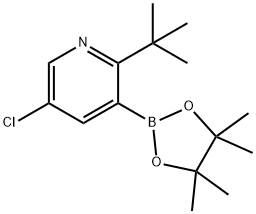 2-(tert-Butyl)-5-chloropyridine-3-boronic acid pinacol ester Struktur