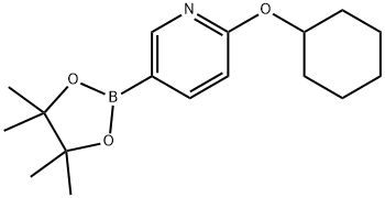 2-(Cyclohexyloxy)pyridine-5-boronic acid pinacol ester Struktur