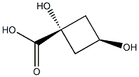 cis-1,3-dihydroxycyclobutane-1-carboxylic acid Struktur