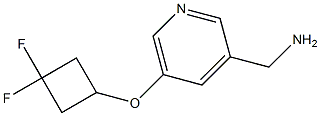 (5-(3,3-difluorocyclobutoxy)pyridin-3-yl)methanamine Struktur