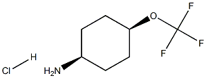 cis-4-Trifluoromethoxy-cyclohexylamine hydrochloride Struktur