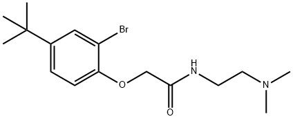 2-(2-bromo-4-tert-butylphenoxy)-N-[2-(dimethylamino)ethyl]acetamide Structure