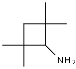 2,2,4,4-tetramethylcyclobutan-1-amine Struktur