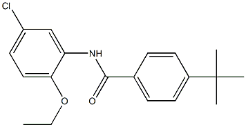 4-(tert-butyl)-N-(5-chloro-2-ethoxyphenyl)benzamide Struktur