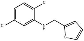 2,5-dichloro-N-(thiophen-2-ylmethyl)aniline Struktur