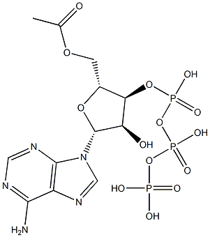 acetyladenosine triphosphate Struktur