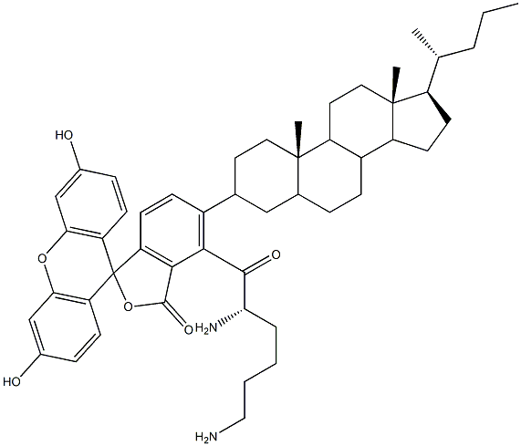 cholyl-lysylfluorescein Struktur