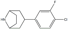 3-(4-chloro-3-fluorophenyl)-8-azabicyclo[3.2.1]octane Struktur