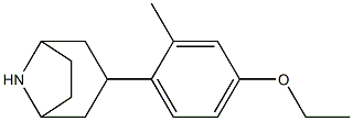 3-(4-ethoxy-2-methylphenyl)-8-azabicyclo[3.2.1]octane Struktur