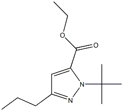 1-(1,1-DIMETHYLETHYL)-3-PROPYL-1H-PYRAZOLE-5-CARBOXYLICACIDETHYLESTER Struktur